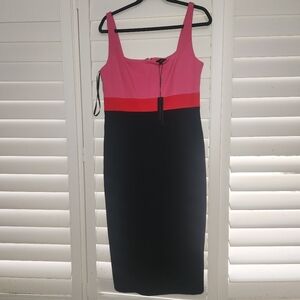 Danna Karan Black And Pink Elegant Dress